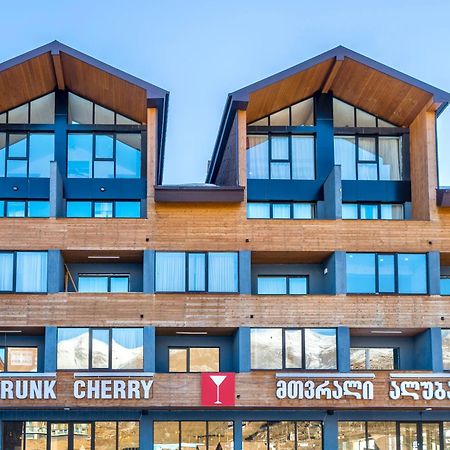 Apartament Gvc 215 New Gudauri Zewnętrze zdjęcie
